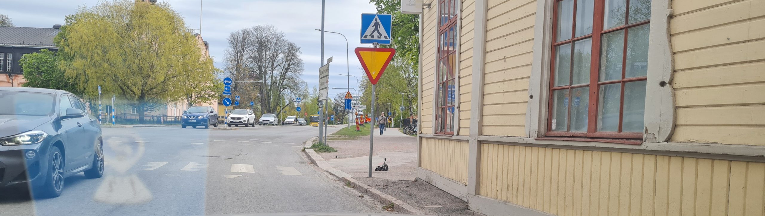 Fågelmamman med sina ungar