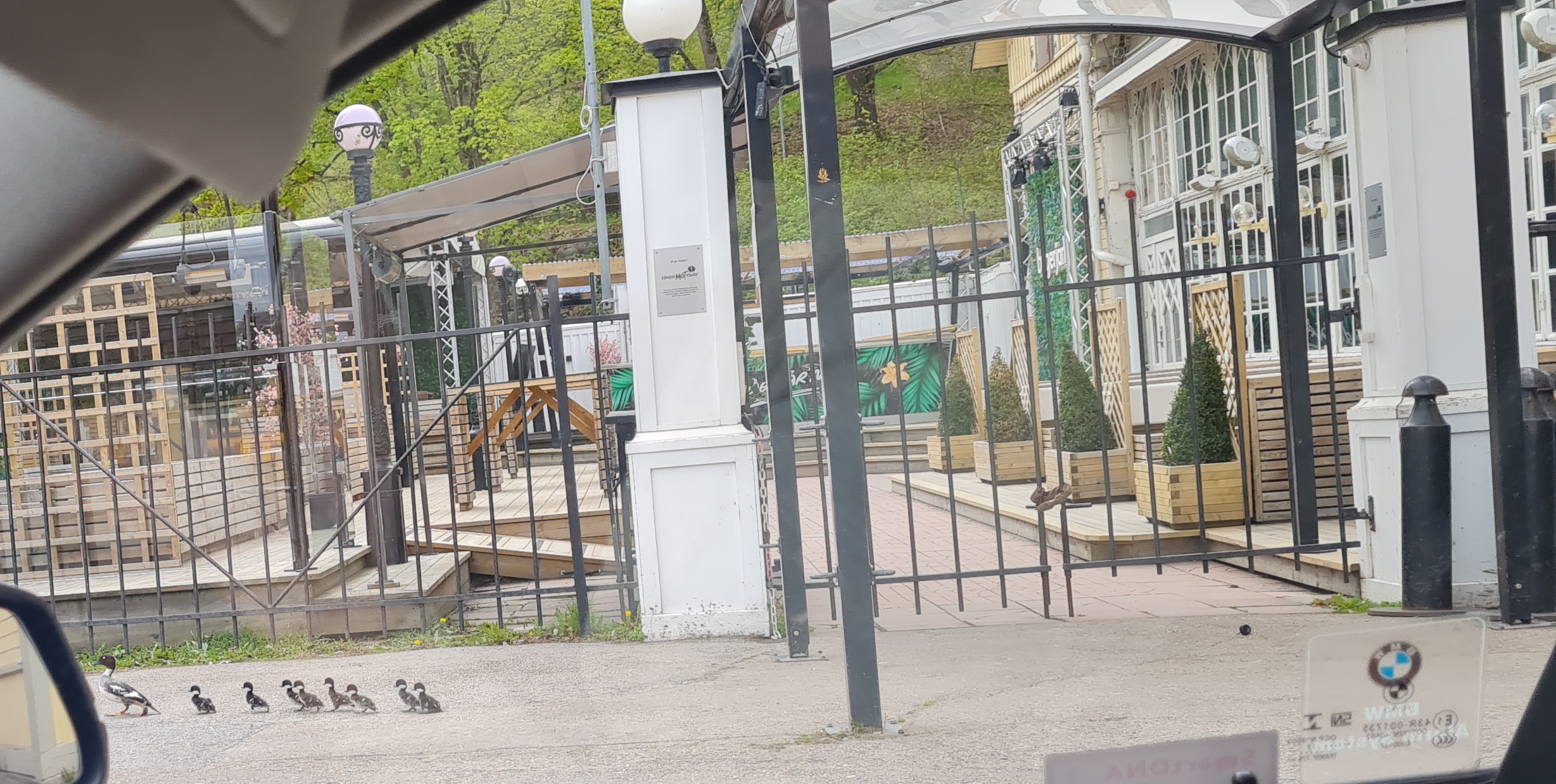 Fågelmamman med sina ungar