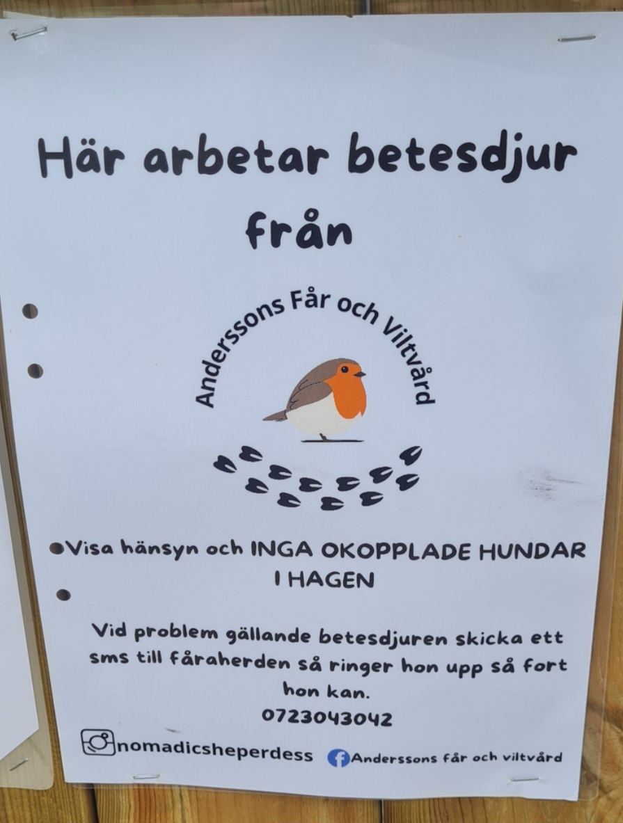 Anderssons får och viltvård