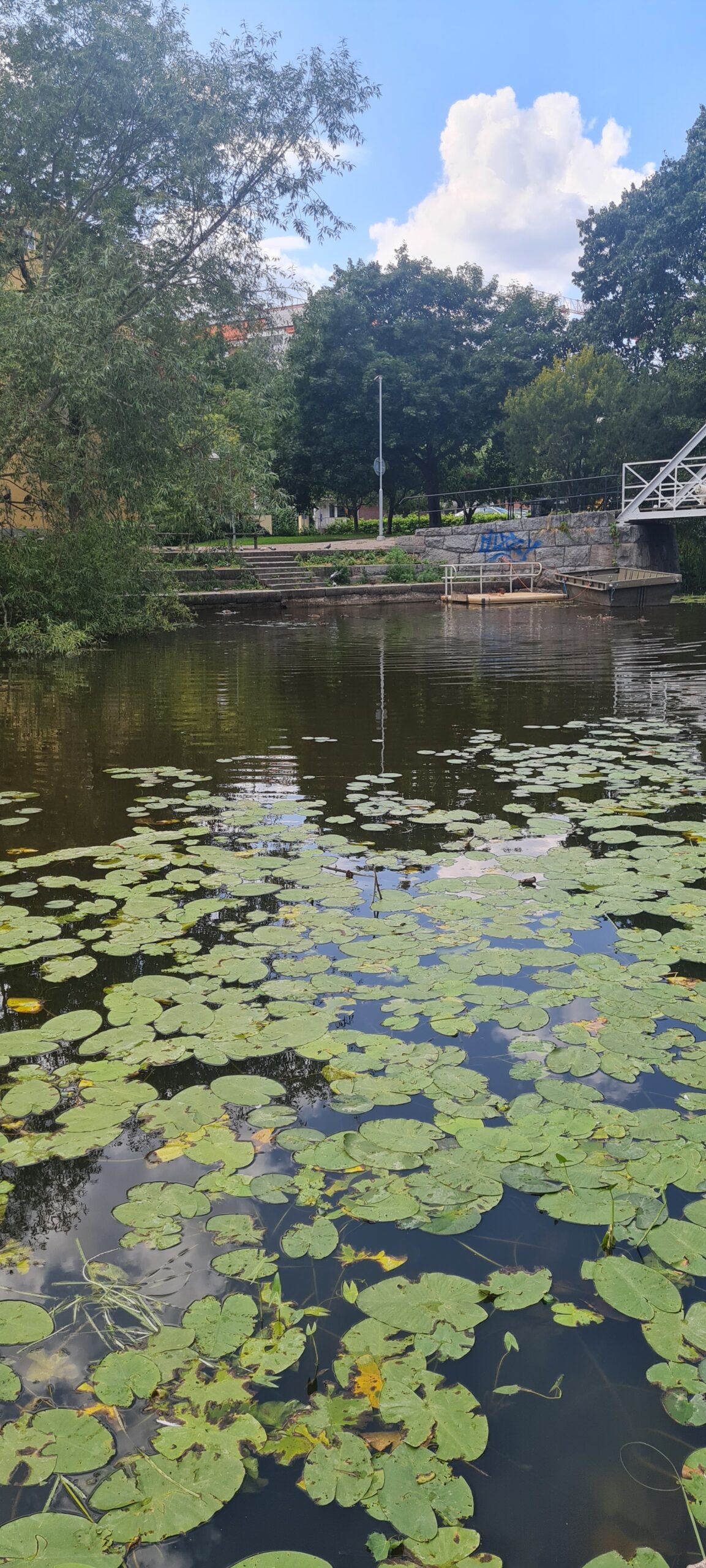 Vackra Fyrisån där man både kan bada och paddla